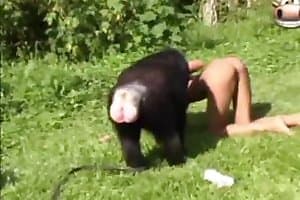 animal fucking,animal fucks girl